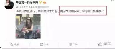 卓伟爆料过宋茜吗视频播放,卓伟爆料宋茜视频播放引发热议 第2张 卓伟爆料过宋茜吗视频播放,卓伟爆料宋茜视频播放引发热议 第2张