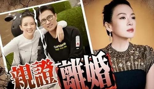 刘大锤最新爆料张彬彬视频,揭秘幕后精彩瞬间 第3张 刘大锤最新爆料张彬彬视频,揭秘幕后精彩瞬间 第3张