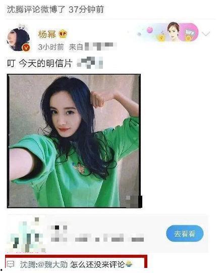 娱乐八卦吃瓜图片表情包可爱,娱乐八卦表情包大集合